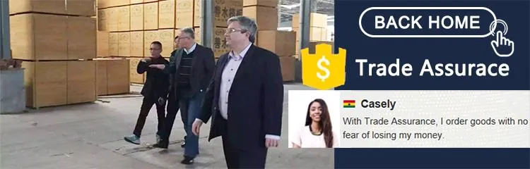 Greentrend WBP Finger Joint Construction Plywood Plywood Film Faced Plywood