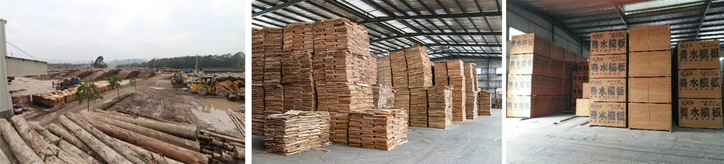 Greentrend WBP Finger Joint Construction Plywood Plywood Film Faced Plywood