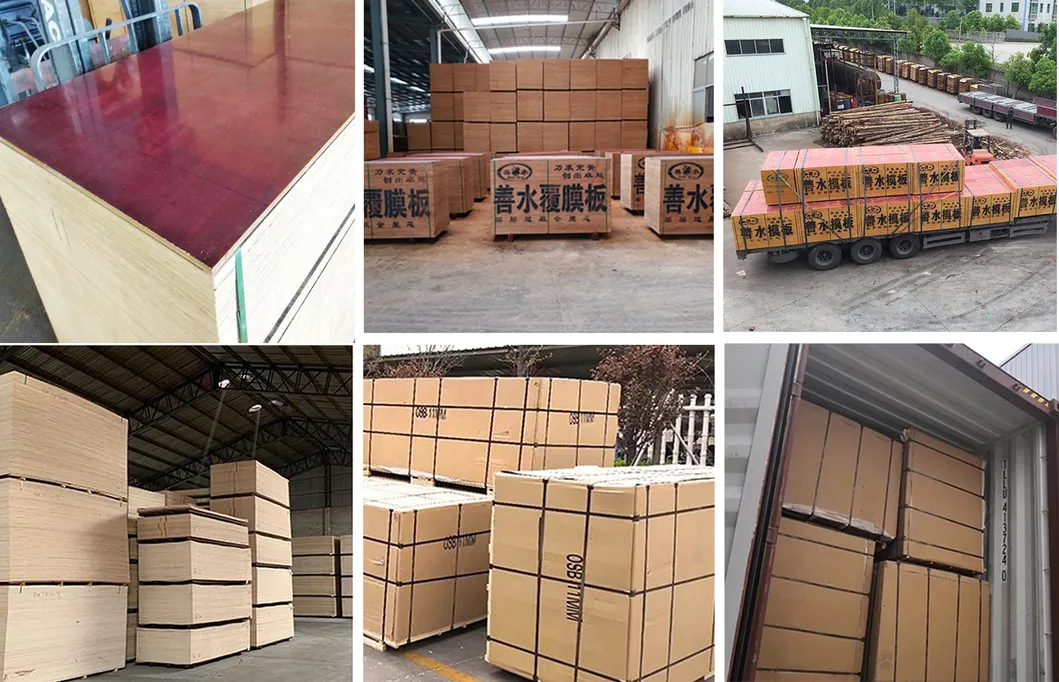 Greentrend WBP Finger Joint Construction Plywood Plywood Film Faced Plywood