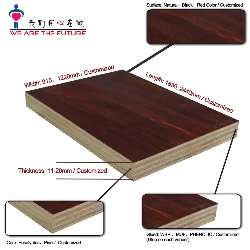 Greentrend WBP Finger Joint Construction Plywood Plywood Film Faced Plywood