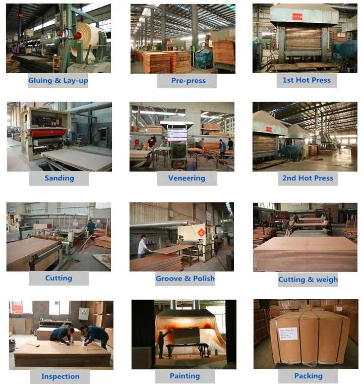 High Density Film Faced Plywood/Truck Floor/Container Floor