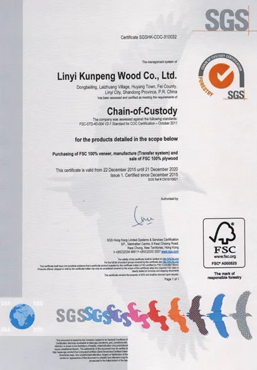 High Quality Customized Thickness 9mm-18mm Film Faced Plywood for Construction