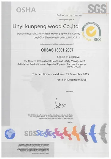 High Quality Customized Thickness 9mm-18mm Film Faced Plywood for Construction