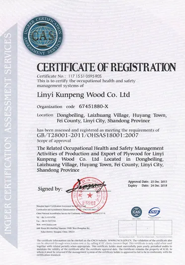 High Quality Customized Thickness 9mm-18mm Film Faced Plywood for Construction