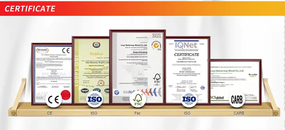 ISO China Building Material Shuttering Finger Jointed Core Dynea Film 18mm Plastic Film Faced Plywood for Construction