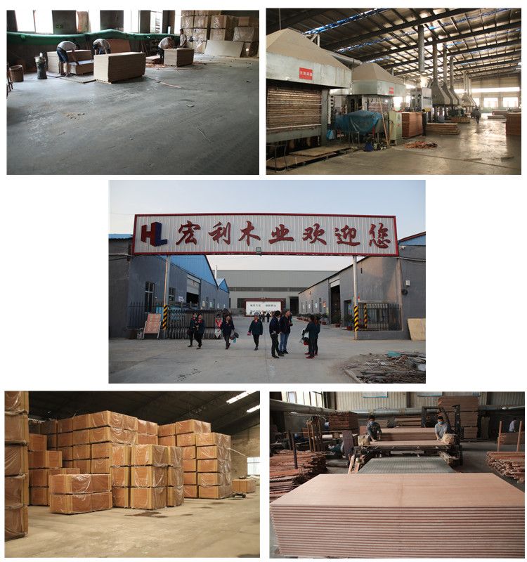 Linyi 1160X2400X28mm Thick Plywood Container Floorboard Plywood
