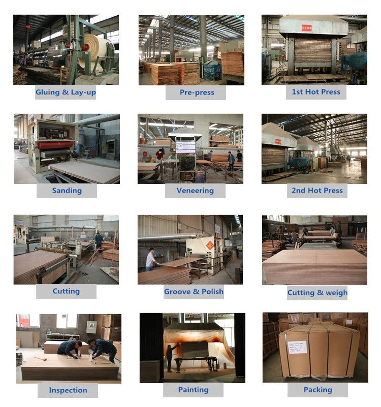 Linyi 1160X2400X28mm Thick Plywood Container Floorboard Plywood