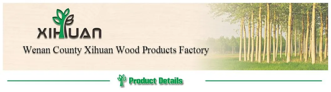 Linyi Factory 1220*2440mm BB/CC White Birch Plywood for Furniture Price