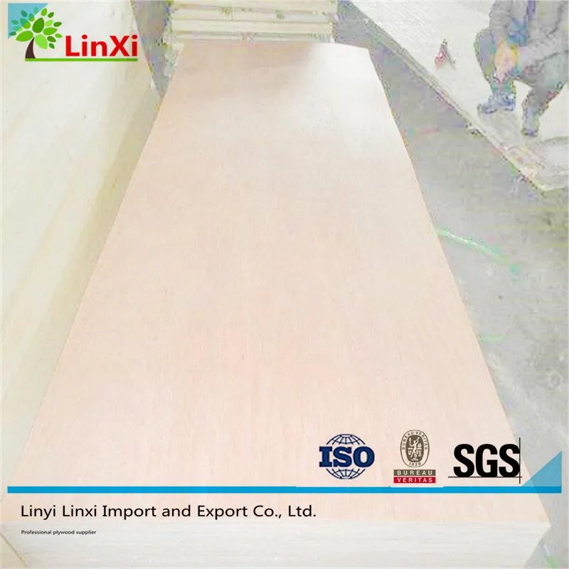 Linyi Factory BB/CC Grade 1220*2440mm Okoume/Bintangor/Pencil Cedar/Pine/Birch Plywood for Sale