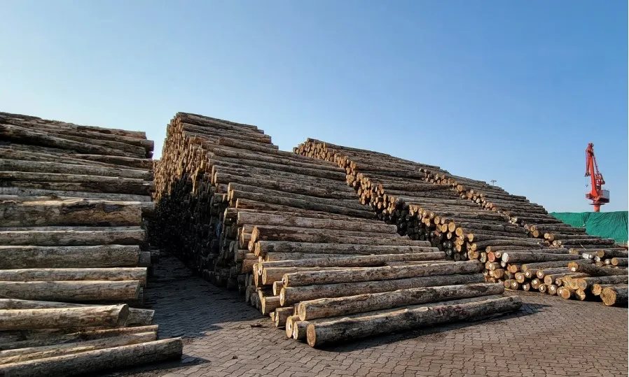 Marine Plywood Board Hardwood Bb/Bb FSC CE Jas Water Resistant WBP Glue Plywood Board