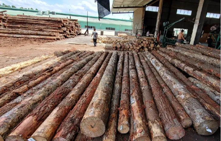 Marine Plywood Board Hardwood Bb/Bb FSC CE Jas Water Resistant WBP Glue Plywood Board