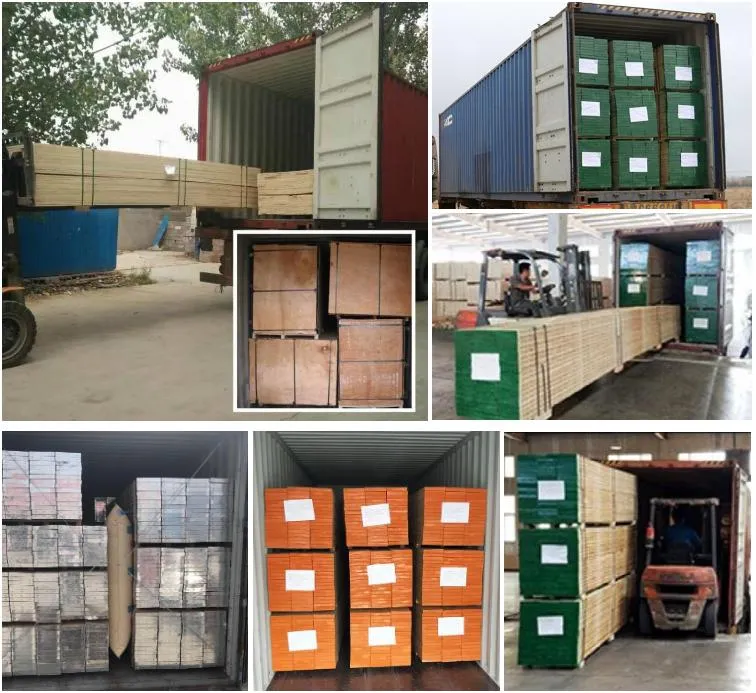 Melamine WBP Phenolic Glue Pine LVL Scaffold Plank