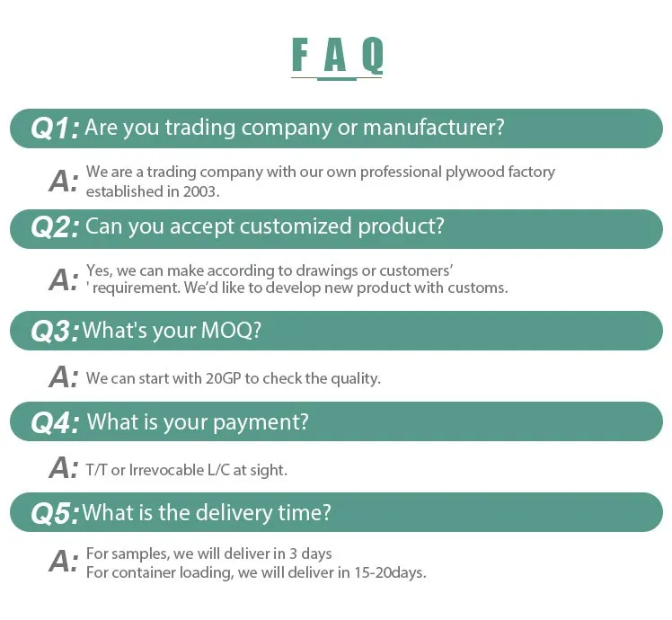 Okoume/Bintangor/Poplar/Birch/Pine/Hardwood Plywood 1220*2440mm for Decoration