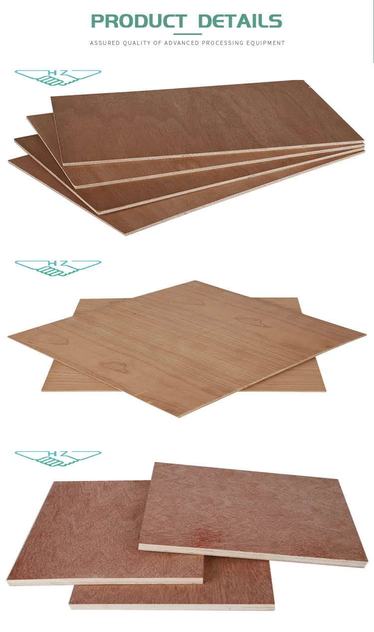 Okoume Bintangor Poplar Birch Pine Hardwood Plywood 1220*2440mm for Sale