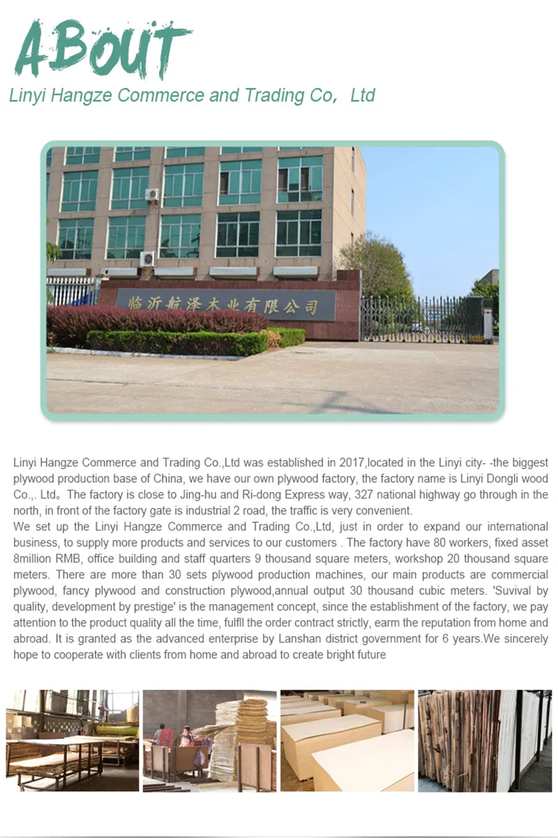 Okoume Bintangor Poplar Birch Pine Hardwood Plywood 1220*2440mm for Sale