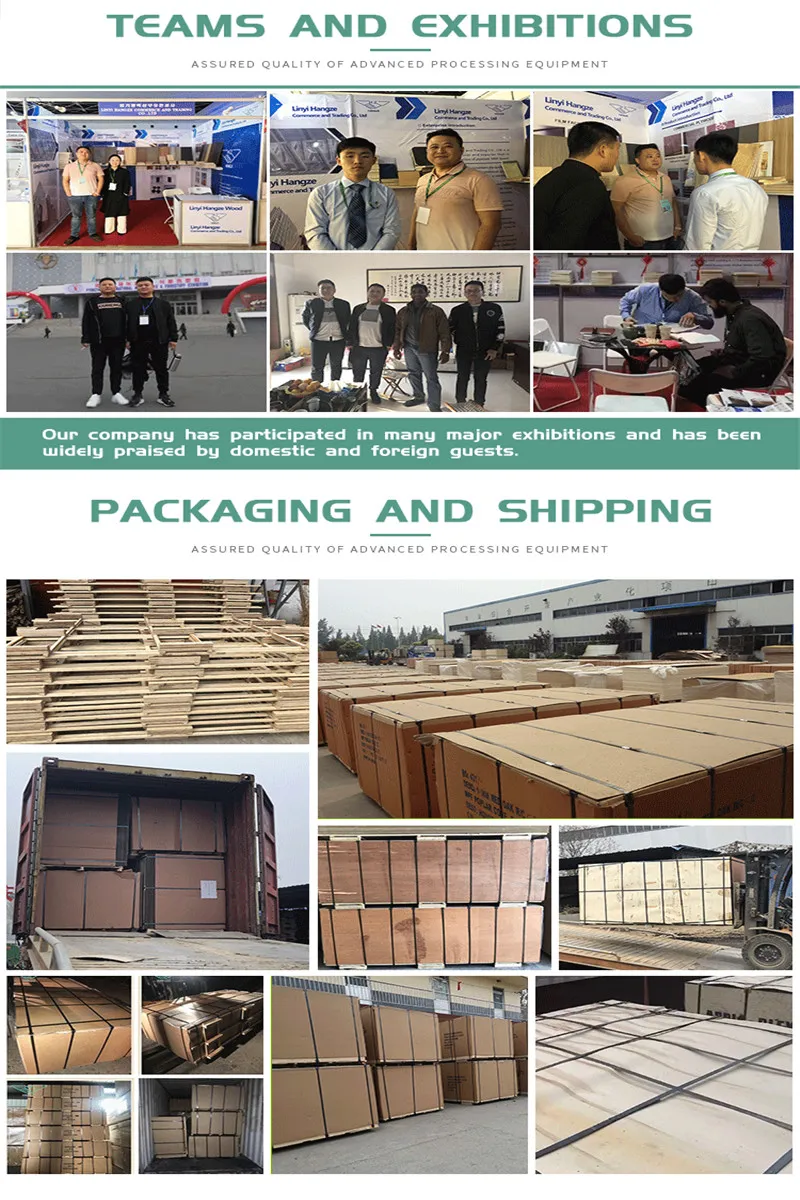 Okoume Bintangor Poplar Birch Pine Hardwood Plywood 1220*2440mm for Sale