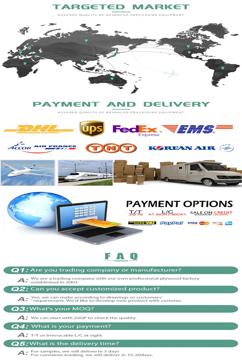 Okoume Bintangor Poplar Birch Pine Hardwood Plywood 1220*2440mm for Sale