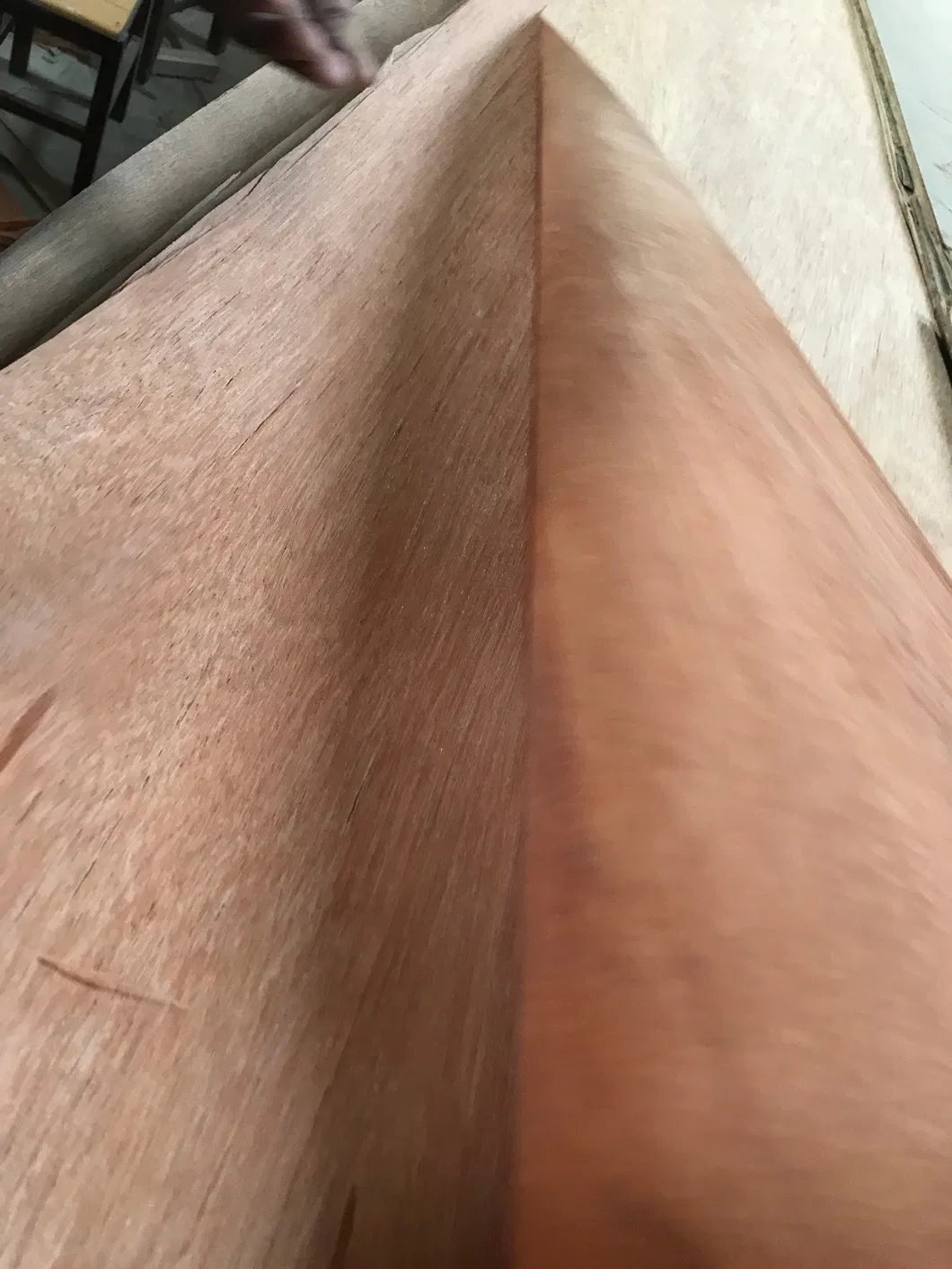 Plb or Okume Wood Veneer for Laminated Board