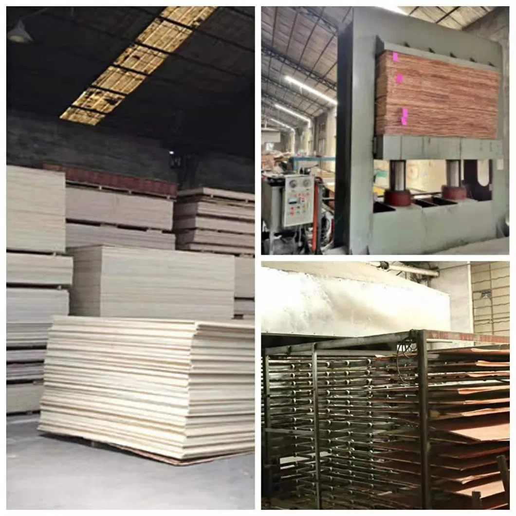Poplar Core Film Faced Plywood for Construction at Cheaper Prices
