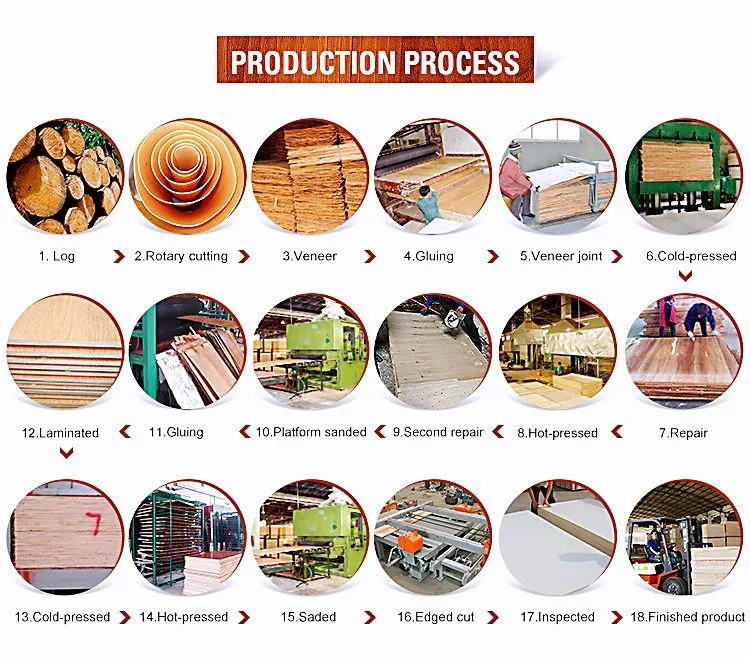 Poplar Core Film Faced Plywood for Construction at Cheaper Prices