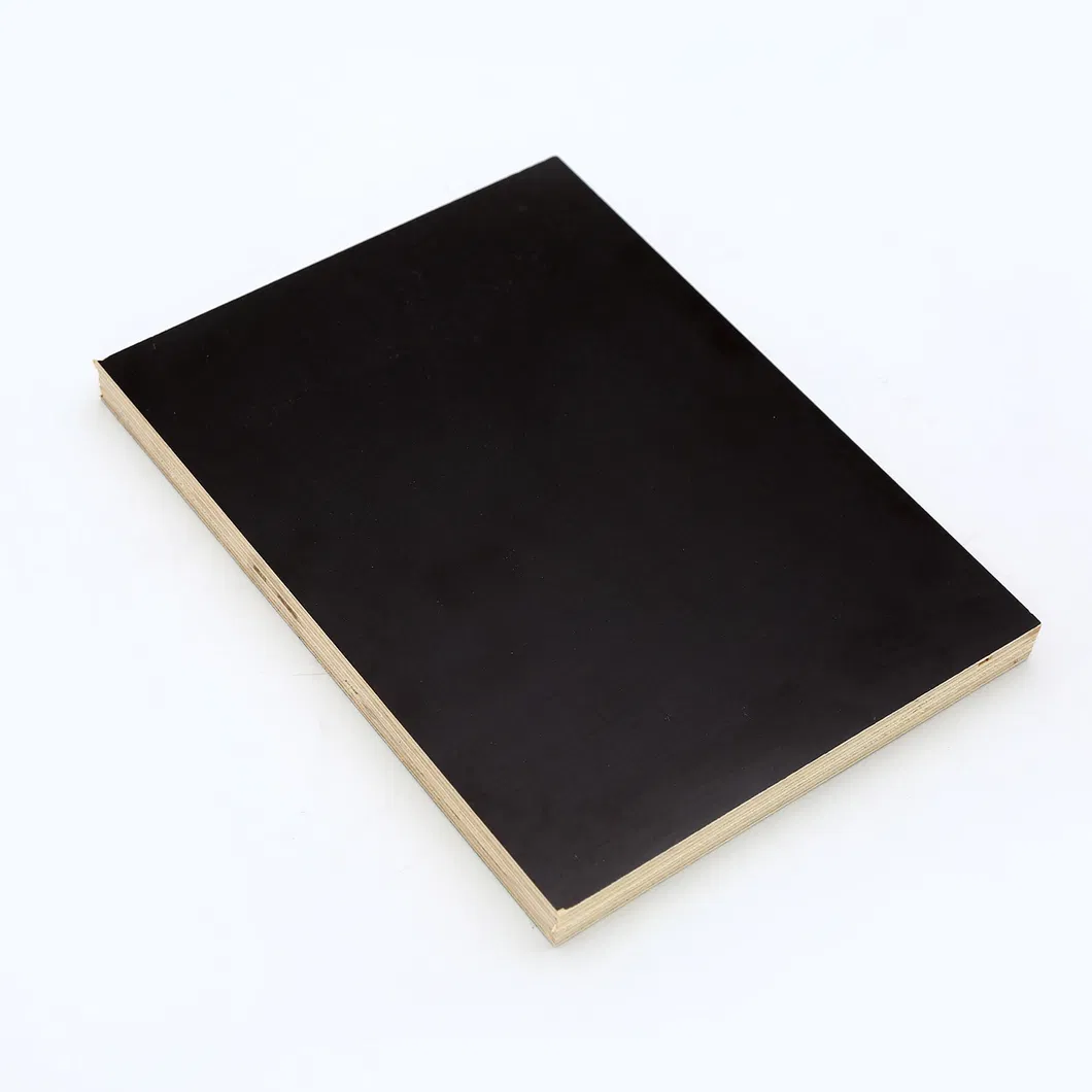 Poplar Core Film Faced Plywood for Construction at Cheaper Prices