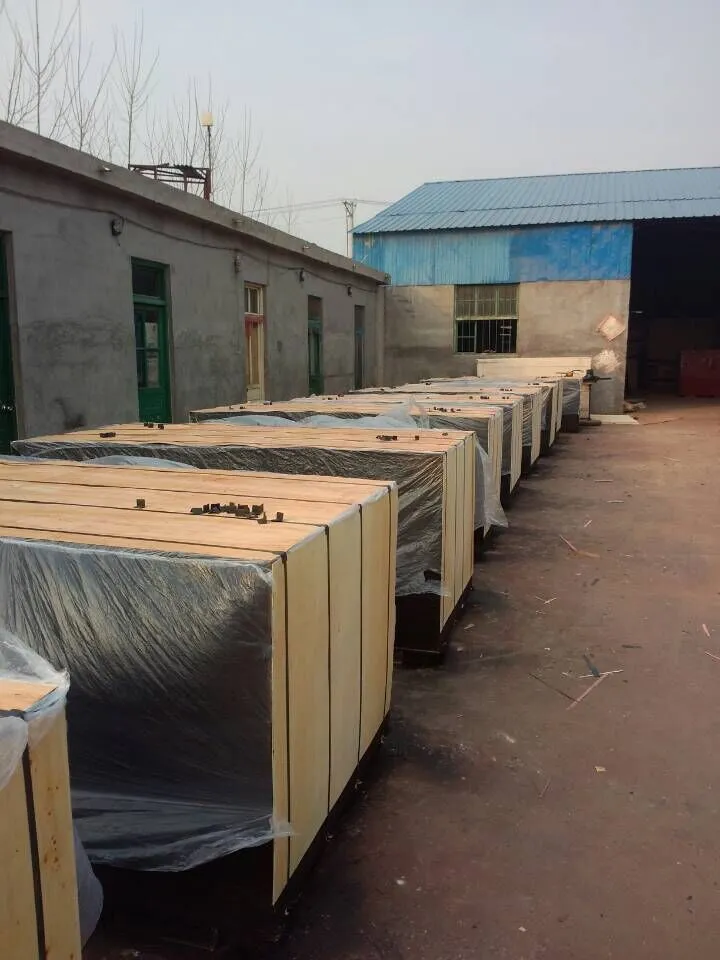 Poplar Marine Plywood for Construction