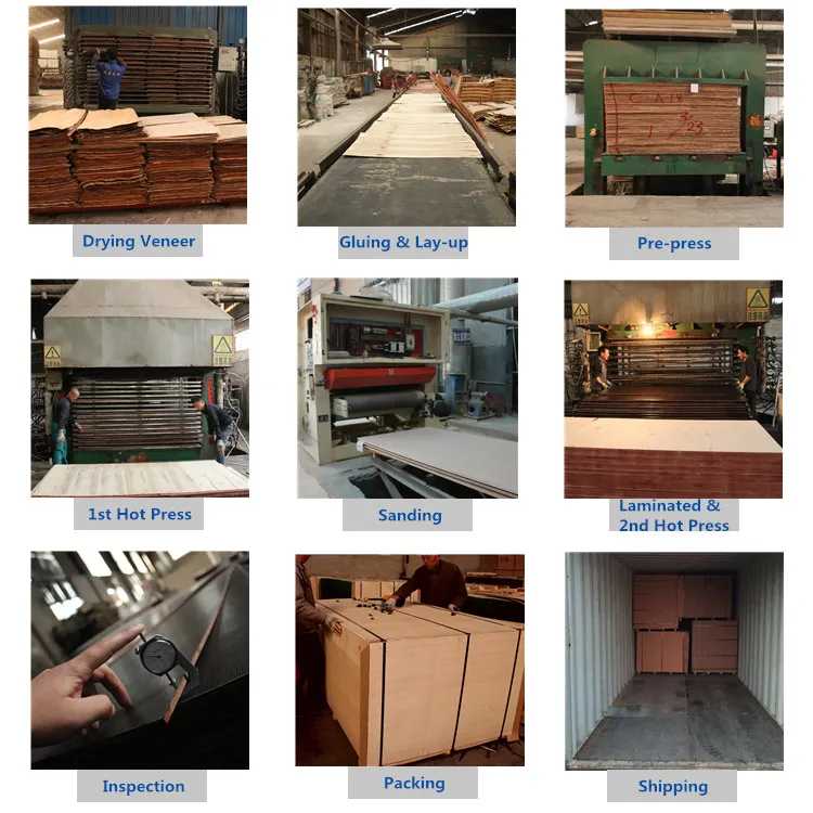 Structural Film Faced Plywood As6669 Australian Standard