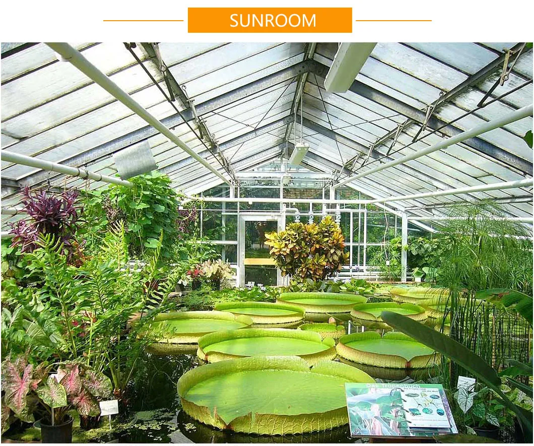 Sunroom Aluminum Extrusion Aluminum Alloy Glass Sunroom with Powder Coating Finished with High Quality and High Strength Discount Price