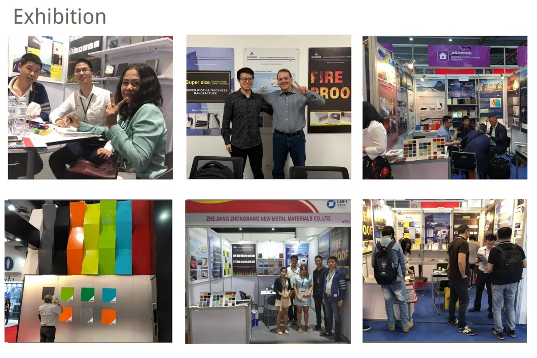 Timber Series Finishes Aluminium Composite Panels Alucoone ACP with Decorative Features