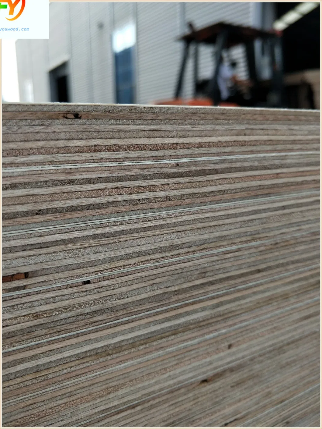 UAE Hot Sale Plywood Marine 4X8X18mm