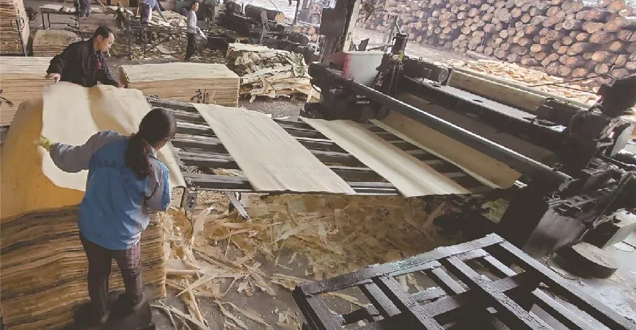 Waterproof Brown Black Film Faced Shuttering Plywood for Construction