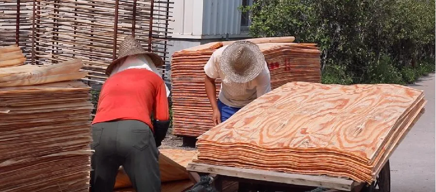 Waterproof Brown Black Film Faced Shuttering Plywood for Construction