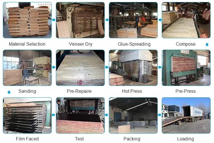 WBP Waterproof Glue Radiate Pine Construction Shutter Plywood