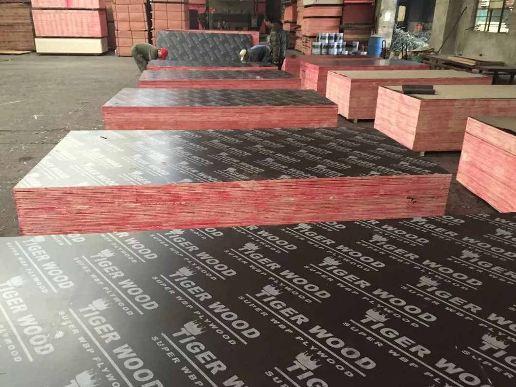 Wholesale 11mm 12mm 15mm 18mm 1220*2440 WBP Melamine Phenolic Poplar Core Shuttering Film Faced Plywood