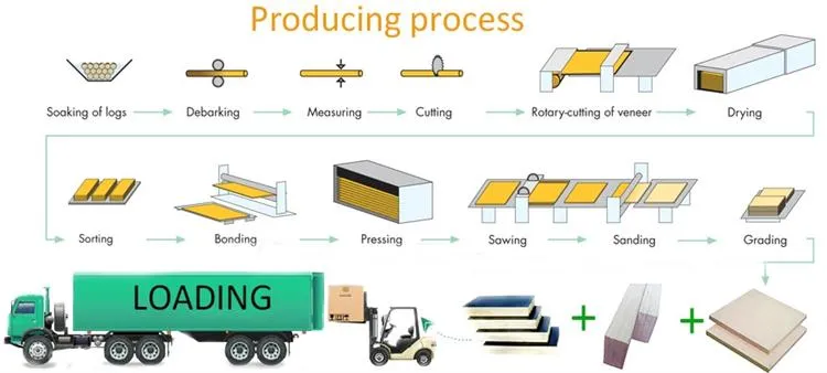 Wood Building Materials Concrete Form Board Marine Plex Plywood